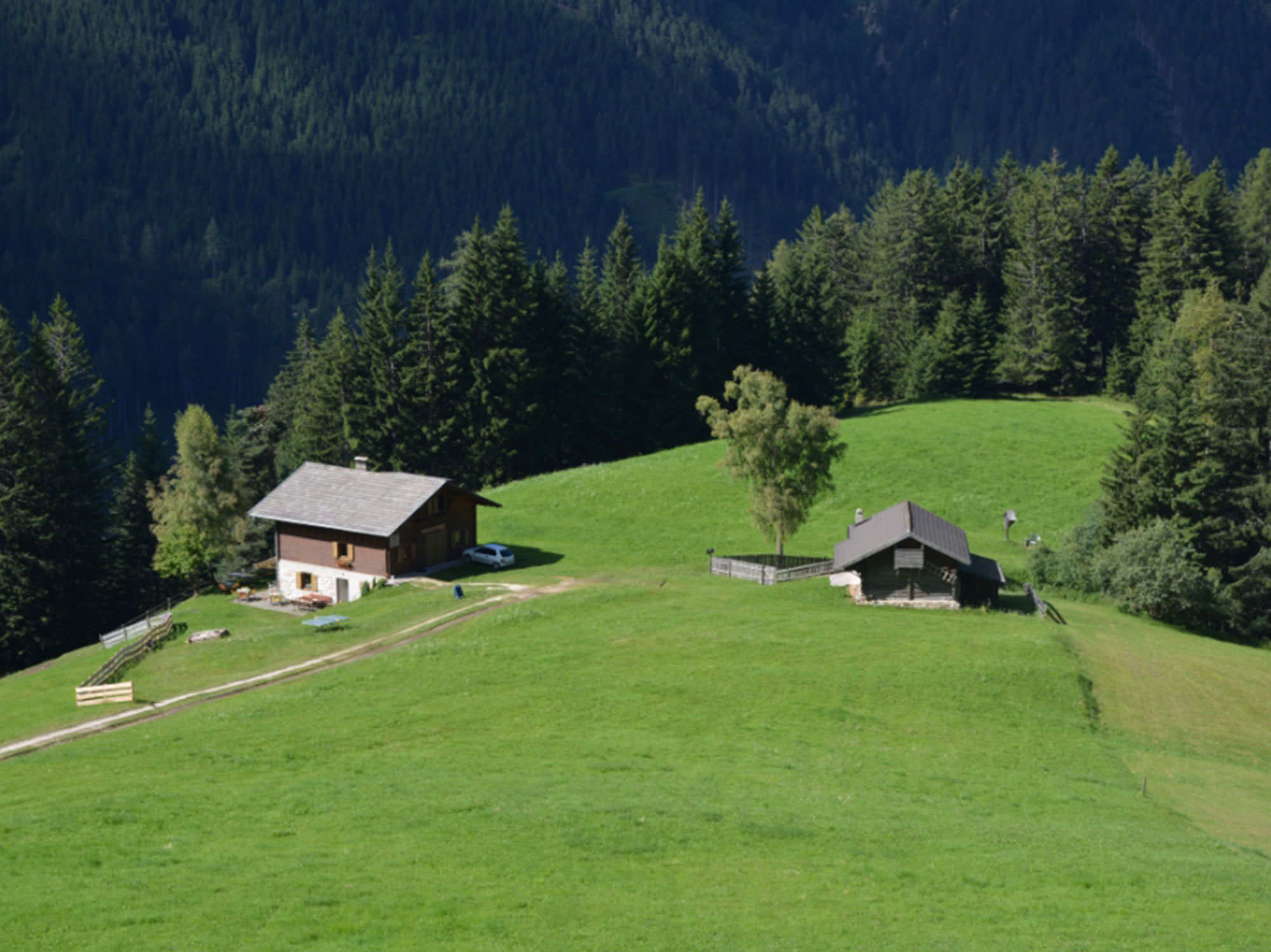 Plafötsch Alm